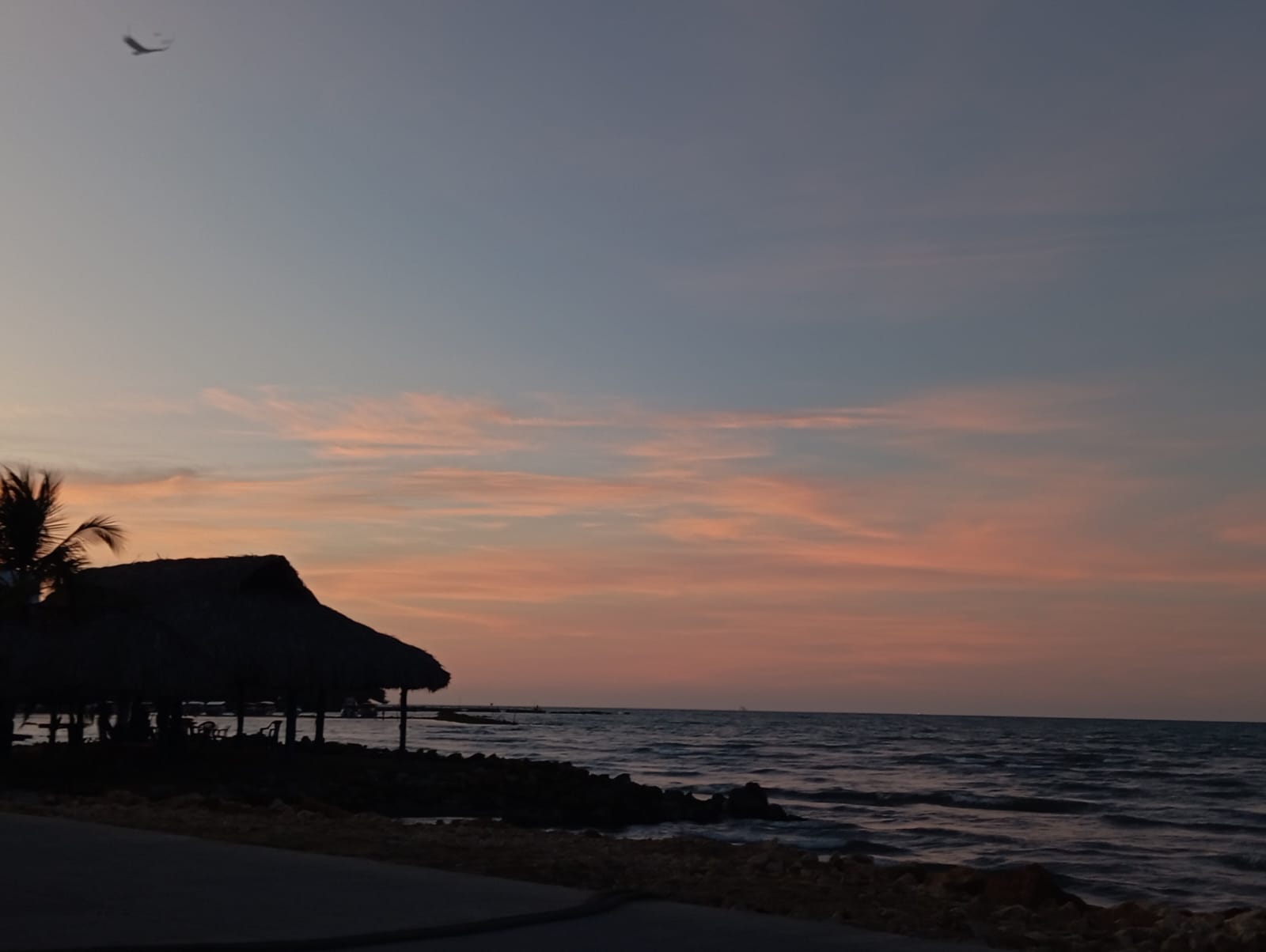 whatsapp image 2026 03 07 at 10.14.16 am (1)